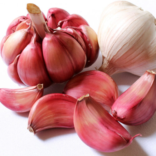 Garlic